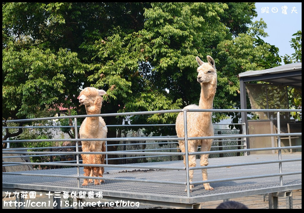 【雲林景點】九九莊園文化創意園區‧溜小孩拍婚紗都很適合 @假日農夫愛趴趴照