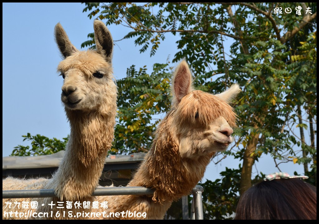 【雲林景點】九九莊園文化創意園區‧溜小孩拍婚紗都很適合 @假日農夫愛趴趴照