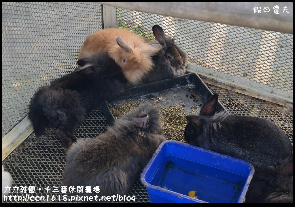 【雲林景點】九九莊園文化創意園區‧溜小孩拍婚紗都很適合 @假日農夫愛趴趴照