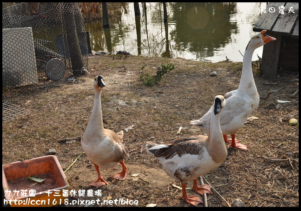 【雲林景點】九九莊園文化創意園區‧溜小孩拍婚紗都很適合 @假日農夫愛趴趴照