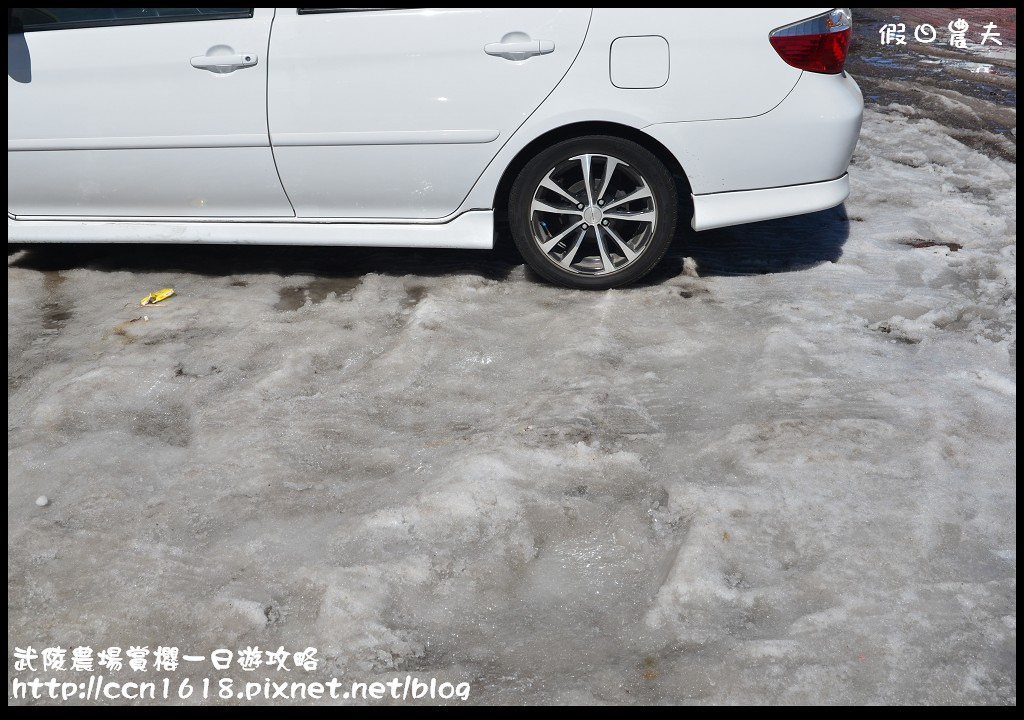 【農夫愛賞花】武陵農場賞櫻一日遊攻略/梨山燕華樓大旅社/國光客運首都客運豐原客運/交通管制/賞櫻專車 @假日農夫愛趴趴照