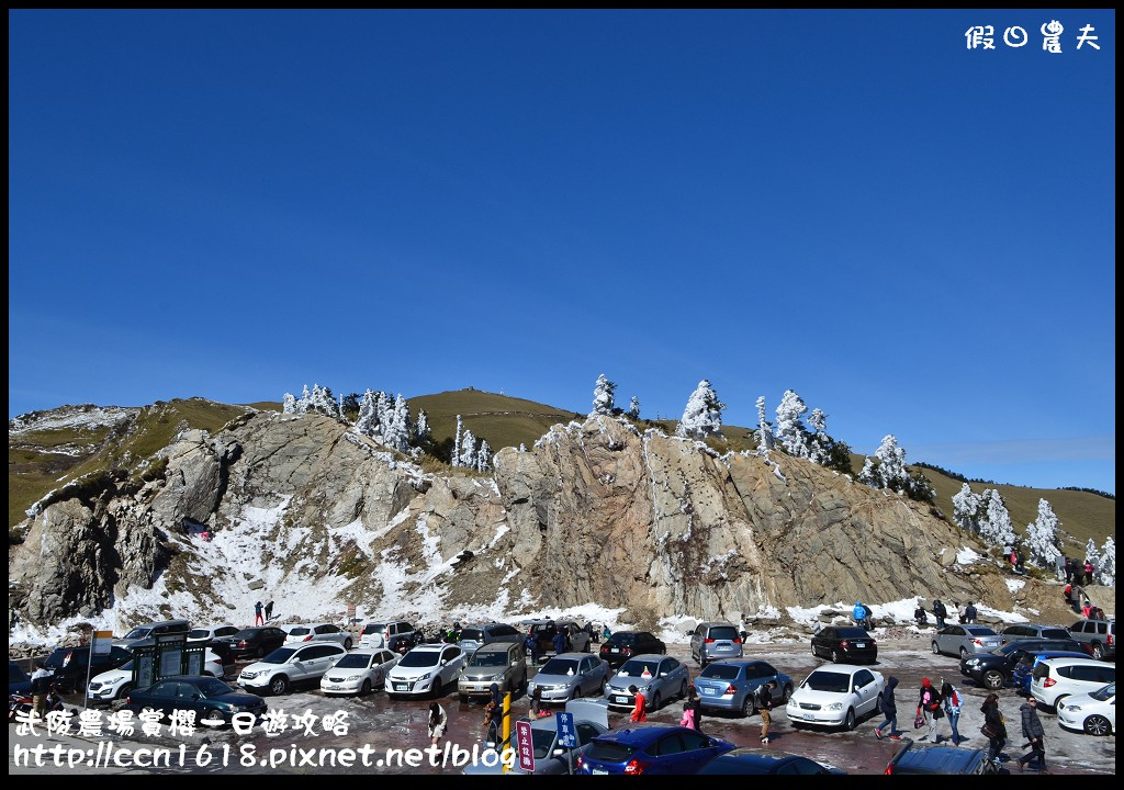 【農夫愛賞花】武陵農場賞櫻一日遊攻略/梨山燕華樓大旅社/國光客運首都客運豐原客運/交通管制/賞櫻專車 @假日農夫愛趴趴照