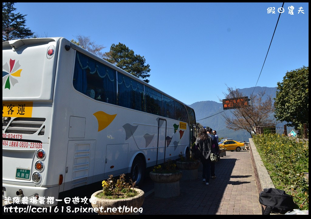 【農夫愛賞花】武陵農場賞櫻一日遊攻略/梨山燕華樓大旅社/國光客運首都客運豐原客運/交通管制/賞櫻專車 @假日農夫愛趴趴照