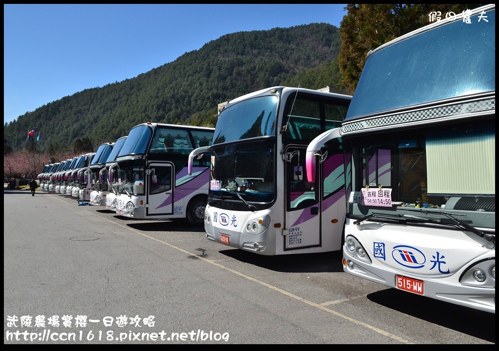 【農夫愛賞花】武陵農場賞櫻一日遊攻略/梨山燕華樓大旅社/國光客運首都客運豐原客運/交通管制/賞櫻專車 @假日農夫愛趴趴照