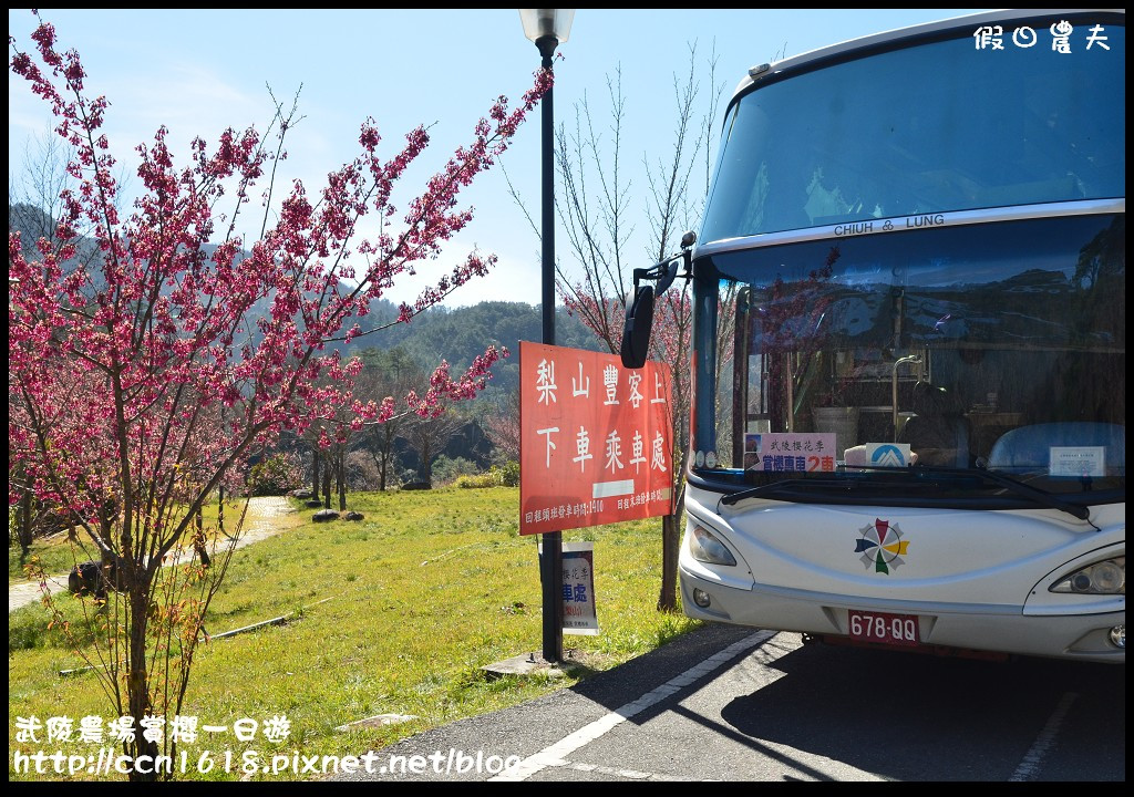 【農夫愛賞花】武陵農場賞櫻一日遊攻略/梨山燕華樓大旅社/國光客運首都客運豐原客運/交通管制/賞櫻專車 @假日農夫愛趴趴照