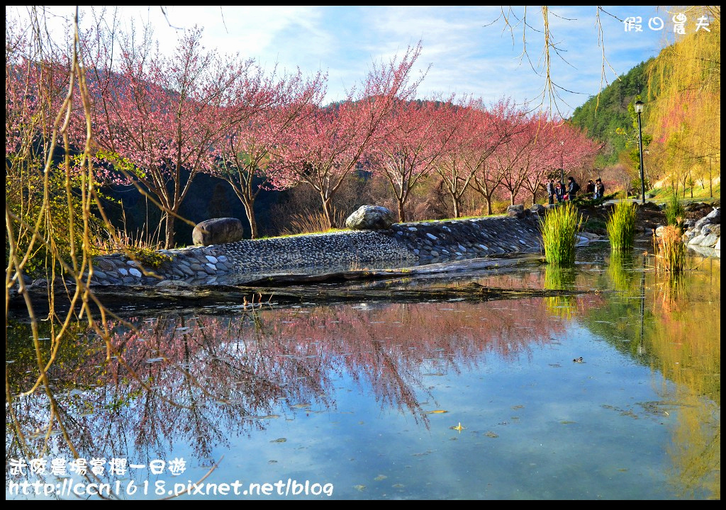 【農夫愛賞花】武陵農場賞櫻一日遊‧台灣最美櫻花就在武陵 @假日農夫愛趴趴照