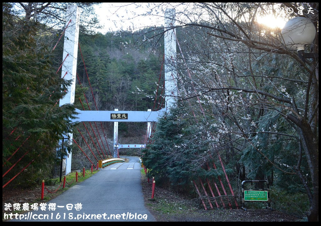 【農夫愛賞花】武陵農場賞櫻一日遊‧台灣最美櫻花就在武陵 @假日農夫愛趴趴照