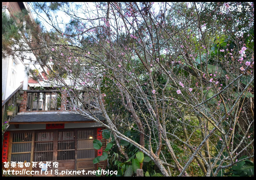 【苗栗住宿】三義福田瓦舍民宿‧來去鄉下住一晚 @假日農夫愛趴趴照