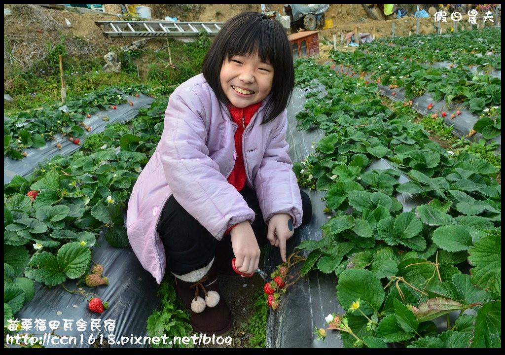 【苗栗住宿】三義福田瓦舍民宿‧來去鄉下住一晚 @假日農夫愛趴趴照