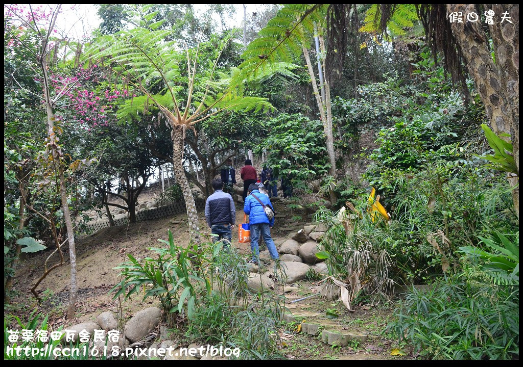 【苗栗住宿】三義福田瓦舍民宿‧來去鄉下住一晚 @假日農夫愛趴趴照