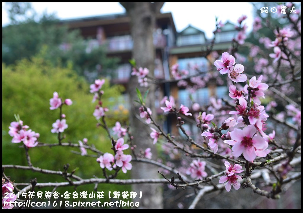 【南投住宿】2015花現鹿谷‧金台灣山莊【野餐趣】專案 @假日農夫愛趴趴照