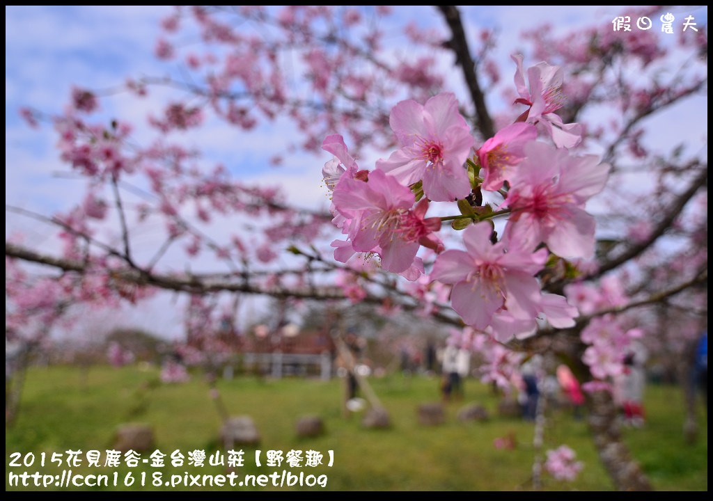 【南投住宿】2015花現鹿谷‧金台灣山莊【野餐趣】專案 @假日農夫愛趴趴照