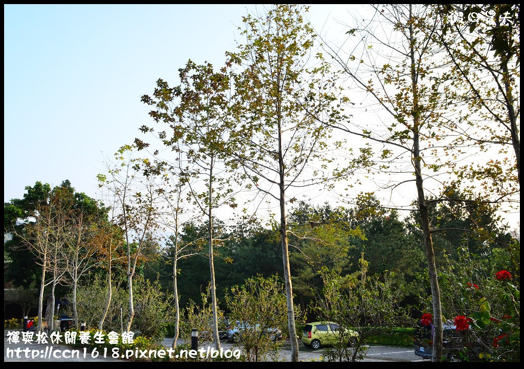 【南投民宿】水里禪與松養生休閒會館‧免出國住進濃濃日式懷舊風檜木屋裡 @假日農夫愛趴趴照