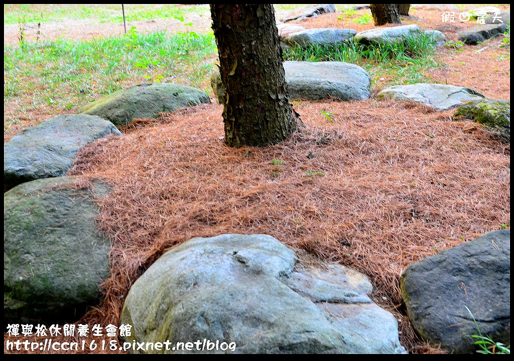 【南投民宿】水里禪與松養生休閒會館‧免出國住進濃濃日式懷舊風檜木屋裡 @假日農夫愛趴趴照