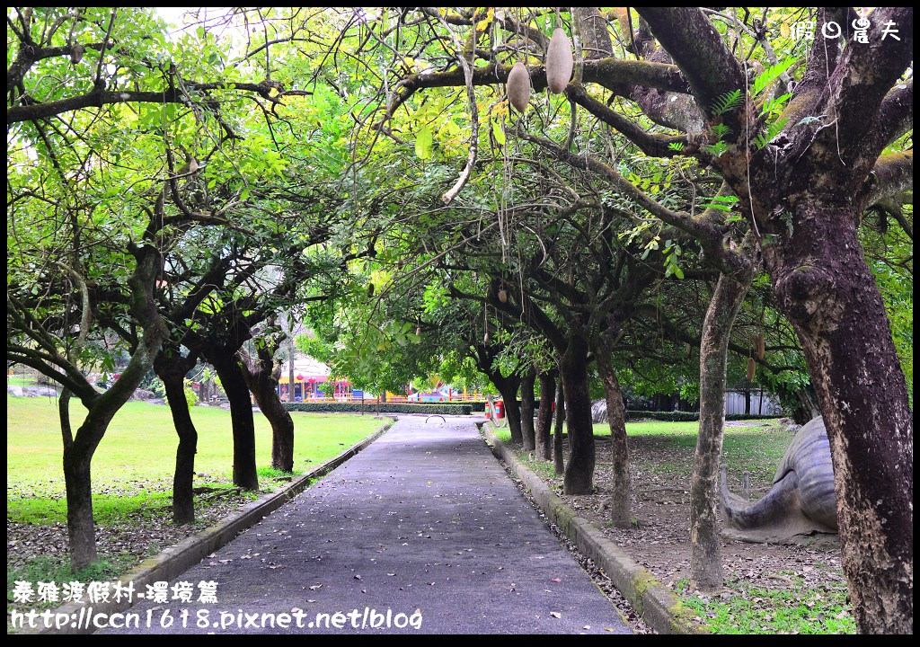 【南投旅遊】假日何處去．泰雅渡假村-環境篇/泡湯、玩樂、賞景一次滿足(104.1.21食尚玩家) @假日農夫愛趴趴照