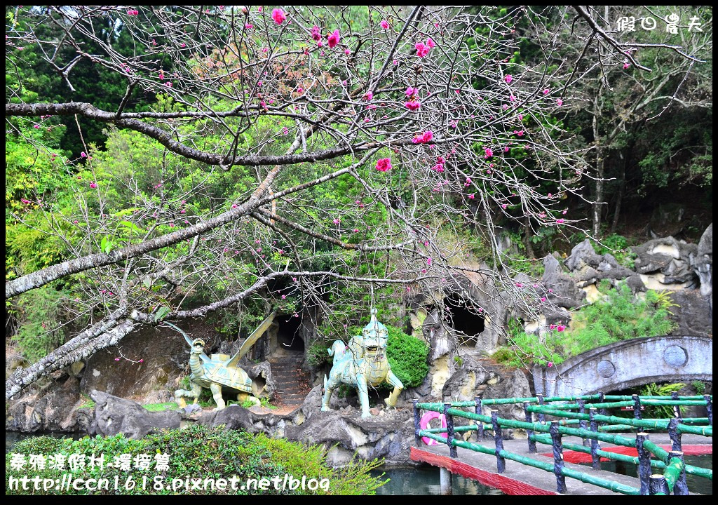 【南投旅遊】假日何處去．泰雅渡假村-環境篇/泡湯、玩樂、賞景一次滿足(104.1.21食尚玩家) @假日農夫愛趴趴照