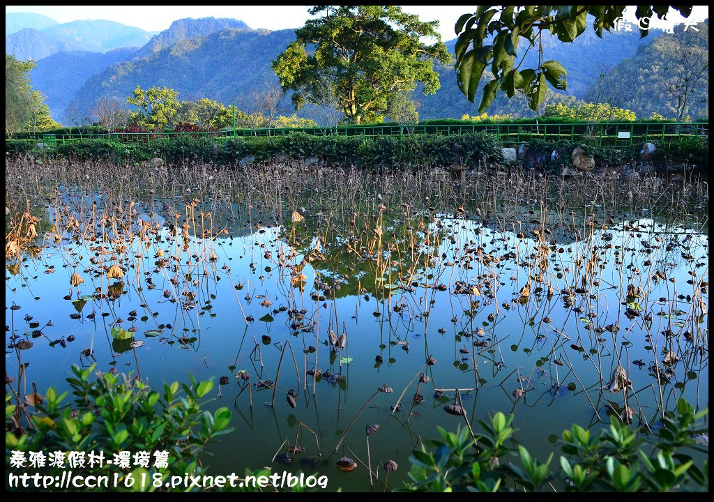 【南投旅遊】假日何處去．泰雅渡假村-環境篇/泡湯、玩樂、賞景一次滿足(104.1.21食尚玩家) @假日農夫愛趴趴照