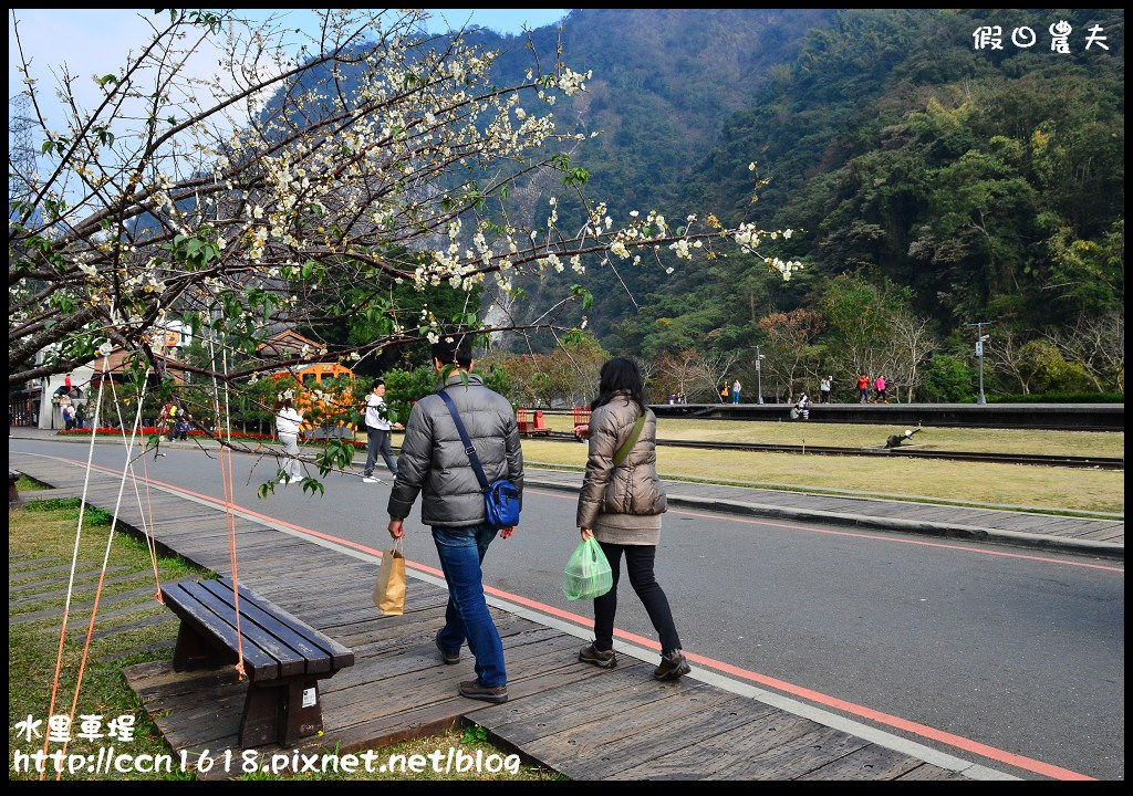 【南投旅遊】假日何處去‧水里車埕休閒農業區‧最後的火車站也是最美麗的火車站 @假日農夫愛趴趴照