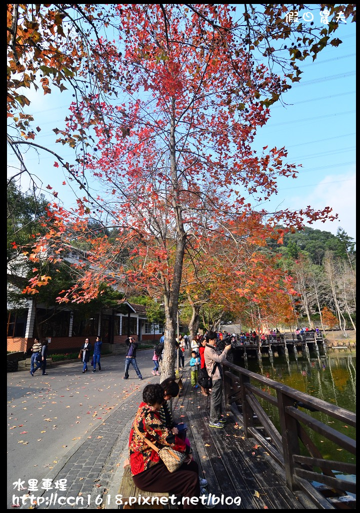 【南投旅遊】假日何處去‧水里車埕休閒農業區‧最後的火車站也是最美麗的火車站 @假日農夫愛趴趴照