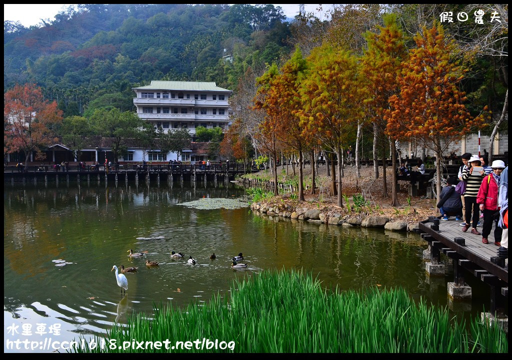 【南投旅遊】假日何處去‧水里車埕休閒農業區‧最後的火車站也是最美麗的火車站 @假日農夫愛趴趴照