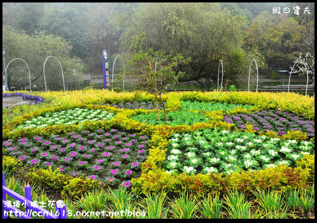 【南投旅遊】假日何處去‧清境小瑞士花園‧唯美浪漫的新景點水上教堂+落羽松步道 @假日農夫愛趴趴照