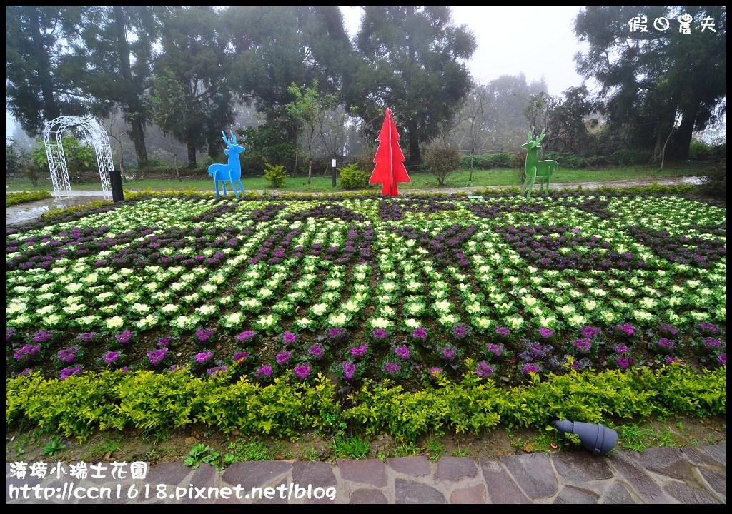 【南投旅遊】假日何處去‧清境小瑞士花園‧唯美浪漫的新景點水上教堂+落羽松步道 @假日農夫愛趴趴照