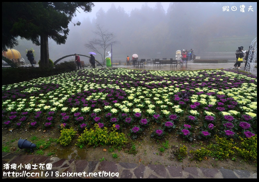 【南投旅遊】假日何處去‧清境小瑞士花園‧唯美浪漫的新景點水上教堂+落羽松步道 @假日農夫愛趴趴照