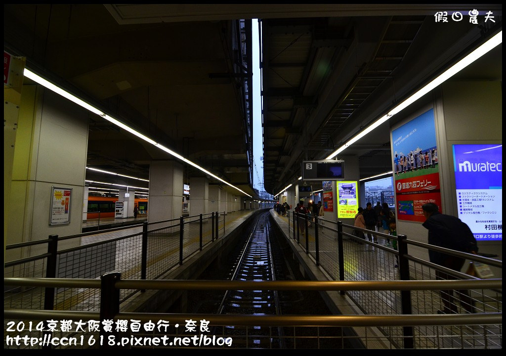 【日本旅遊】京都大阪賞櫻自由行．賞櫻秘境-佐保川櫻花+奈良冰室神社+東大寺餵小鹿 @假日農夫愛趴趴照