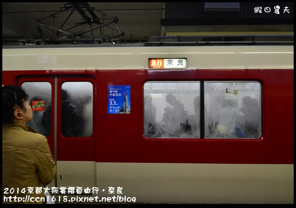 【日本旅遊】京都大阪賞櫻自由行．賞櫻秘境-佐保川櫻花+奈良冰室神社+東大寺餵小鹿 @假日農夫愛趴趴照