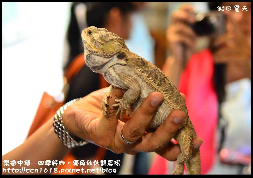 【嘉義旅遊】假日何處去‧樂遊中埔─四季好咖‧獨角仙休閒農場 @假日農夫愛趴趴照