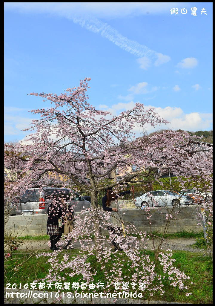 【日本旅遊】2014京都大阪賞櫻自由行．哲學之道+京都車站 @假日農夫愛趴趴照