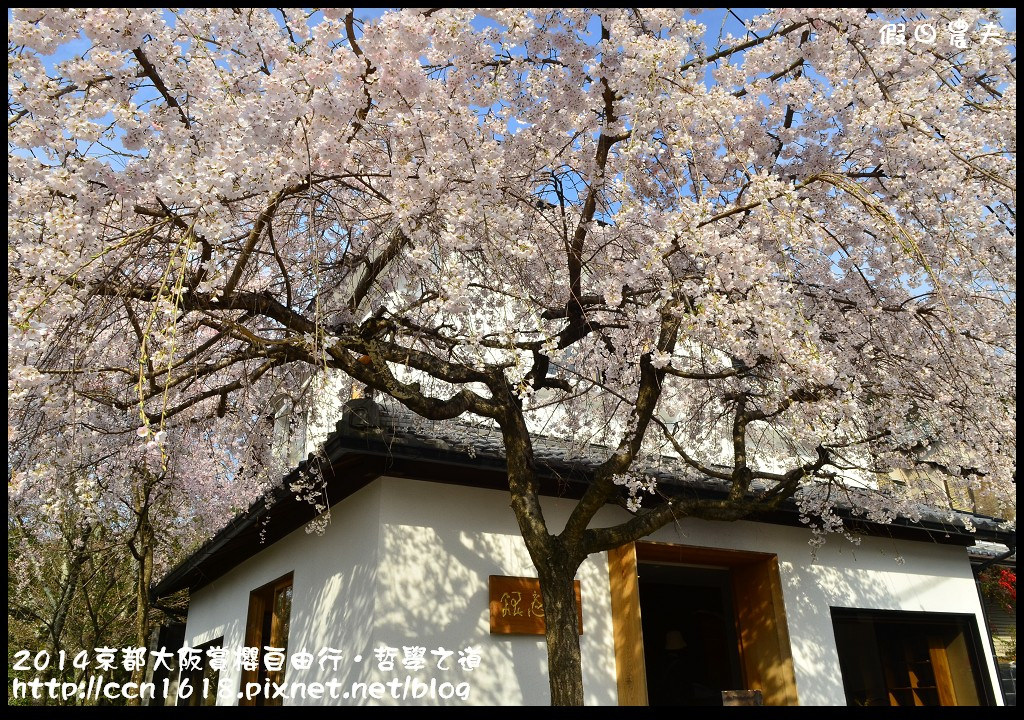 【日本旅遊】2014京都大阪賞櫻自由行．哲學之道+京都車站 @假日農夫愛趴趴照