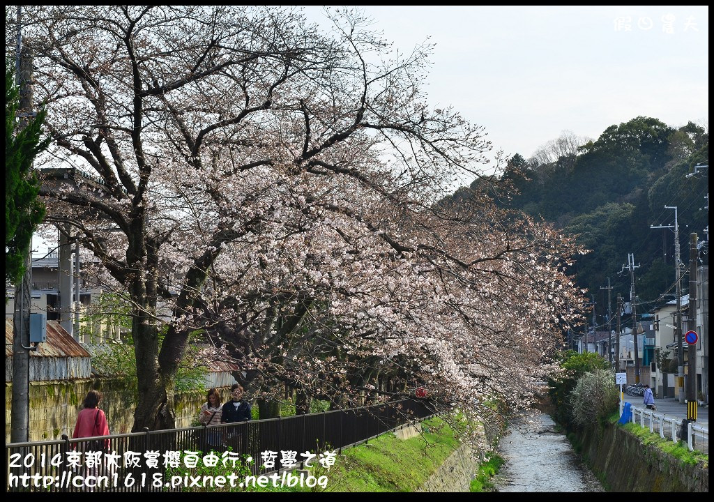 【日本旅遊】2014京都大阪賞櫻自由行．哲學之道+京都車站 @假日農夫愛趴趴照