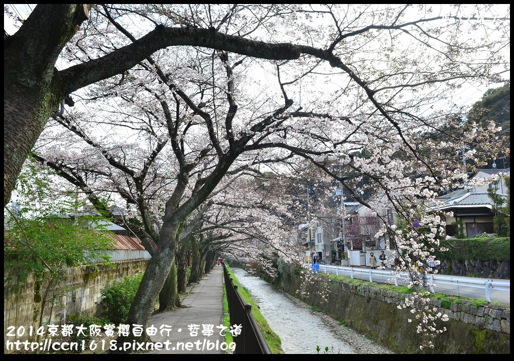 【日本旅遊】2014京都大阪賞櫻自由行．哲學之道+京都車站 @假日農夫愛趴趴照