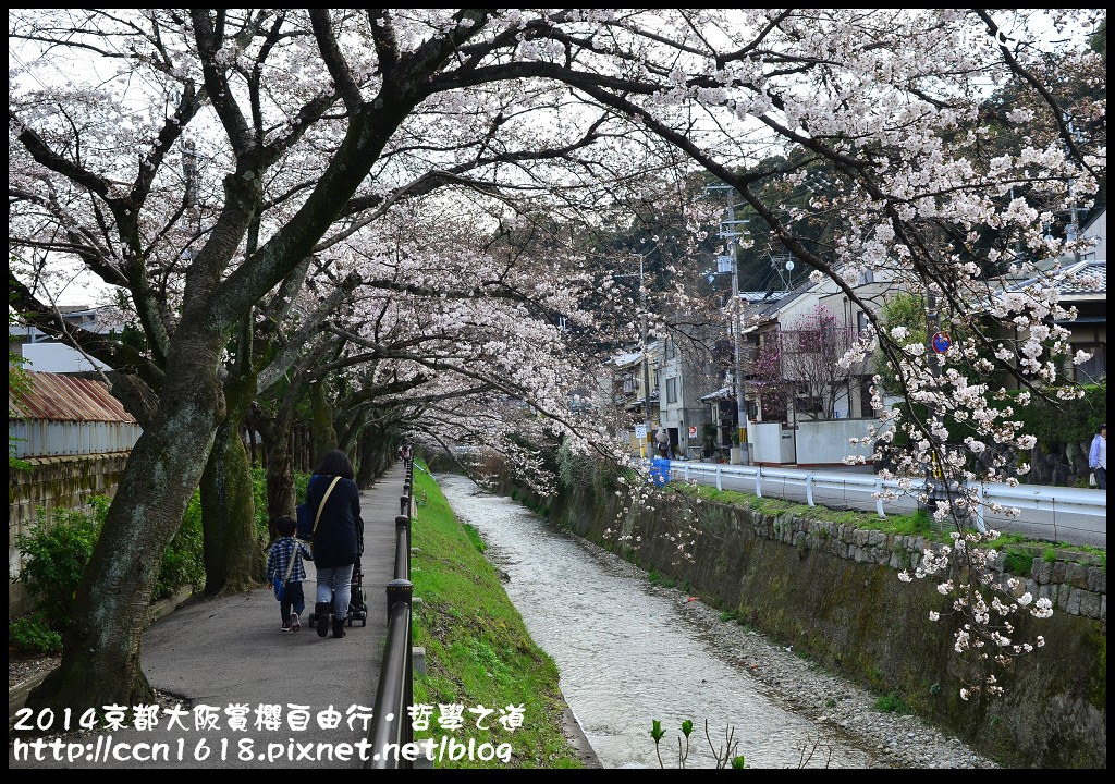 【日本旅遊】2014京都大阪賞櫻自由行．哲學之道+京都車站 @假日農夫愛趴趴照