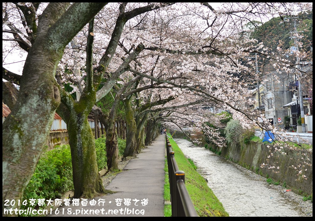 【日本旅遊】2014京都大阪賞櫻自由行．哲學之道+京都車站 @假日農夫愛趴趴照