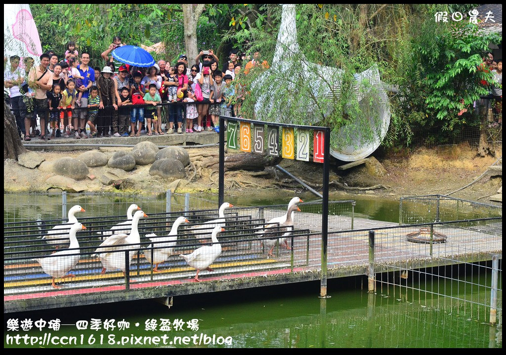 【嘉義旅遊】假日何處去‧樂遊中埔-四季好咖/綠盈牧場/親子同遊的好去處 @假日農夫愛趴趴照