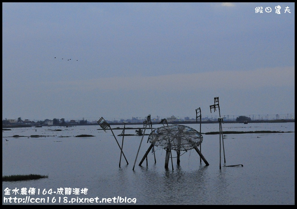 【雲林住宿】金水農情164-口湖瀛稼民宿+成龍濕地+成龍集會所‧來去鄉下住一晚 @假日農夫愛趴趴照