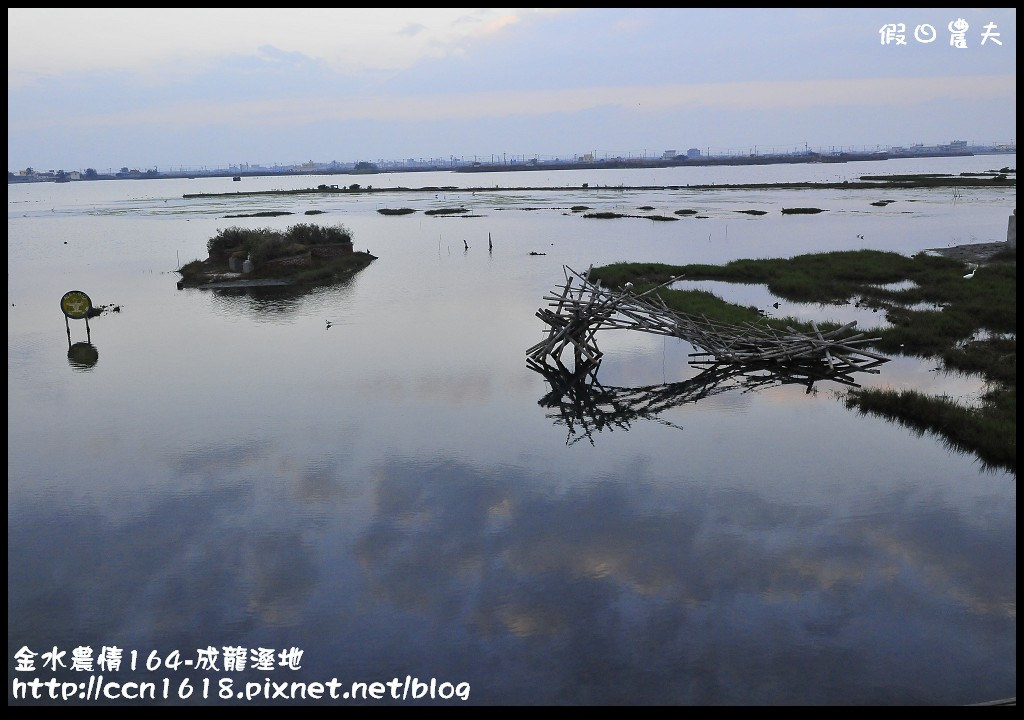 【雲林住宿】金水農情164-口湖瀛稼民宿+成龍濕地+成龍集會所‧來去鄉下住一晚 @假日農夫愛趴趴照