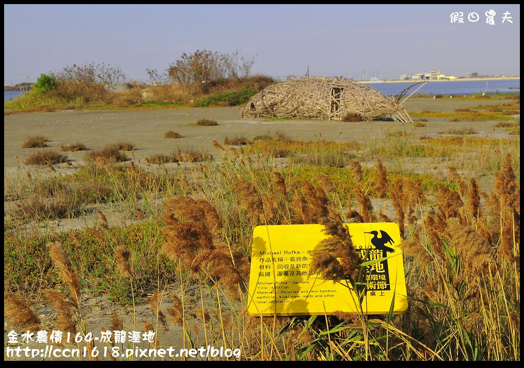 【雲林住宿】金水農情164-口湖瀛稼民宿+成龍濕地+成龍集會所‧來去鄉下住一晚 @假日農夫愛趴趴照