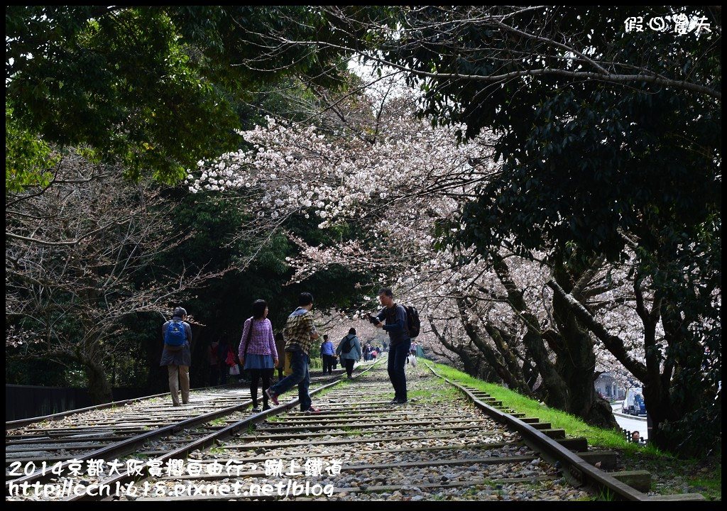 【日本旅遊】2014京都大阪賞櫻自由行．蹴上鐵道+やよい軒(彌生軒)+六角堂 @假日農夫愛趴趴照