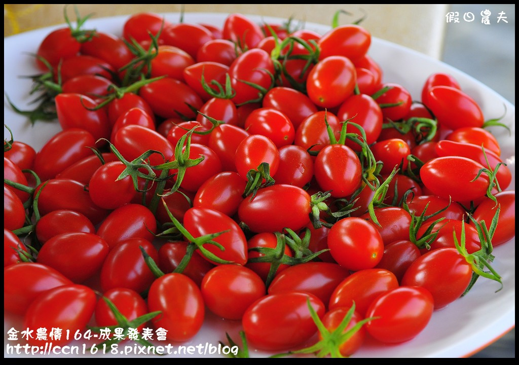 【雲林景點】假日何處去‧樂玩源鄉~金水農情164‧雲遊口湖春夏秋冬四季皆美 @假日農夫愛趴趴照