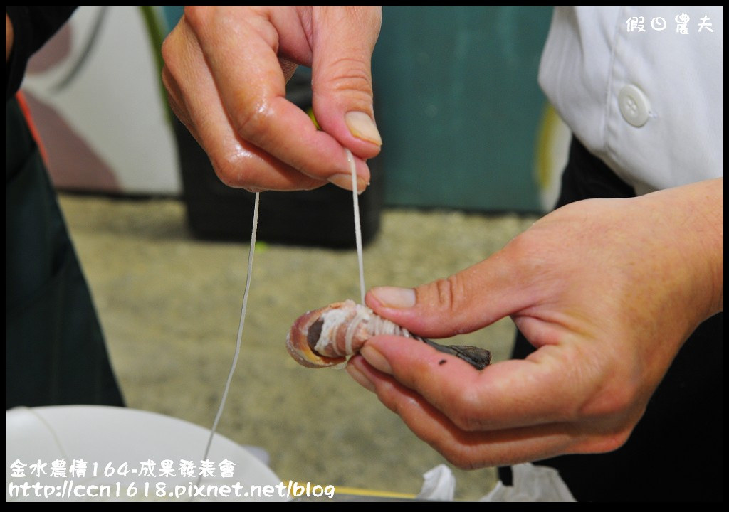 【雲林景點】假日何處去‧樂玩源鄉~金水農情164‧雲遊口湖春夏秋冬四季皆美 @假日農夫愛趴趴照