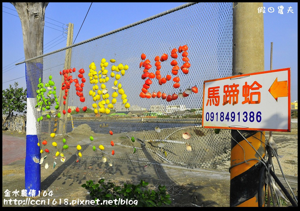 【雲林景點】假日何處去‧樂玩源鄉~金水農情164‧雲遊口湖春夏秋冬四季皆美 @假日農夫愛趴趴照