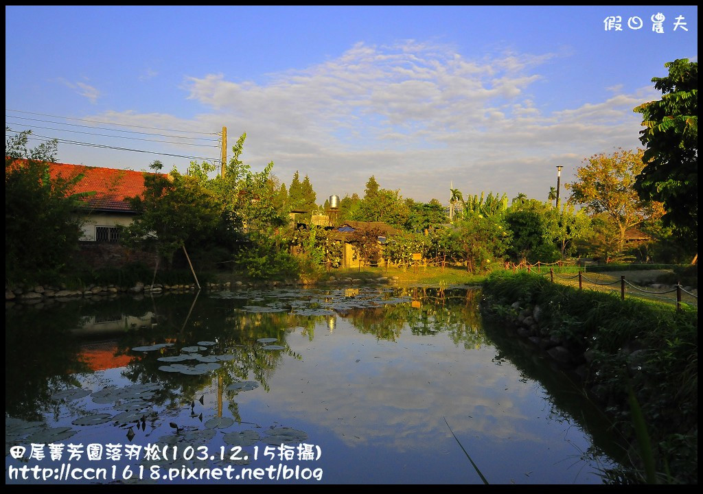 【彰化景點】假日何處去‧田尾菁芳園落羽松‧第一次夜拍落羽松好漂亮 @假日農夫愛趴趴照