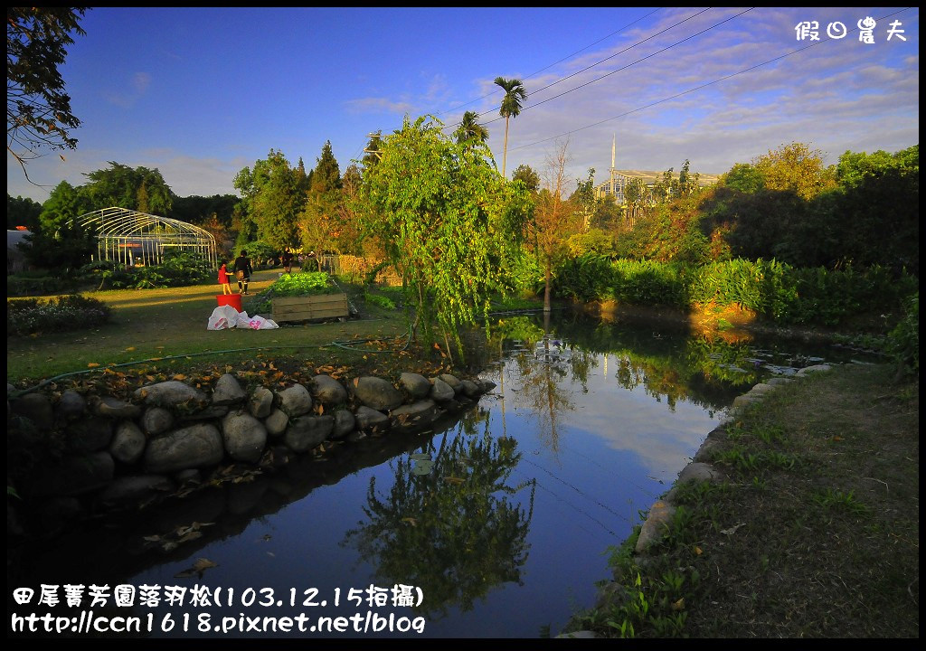 【彰化景點】假日何處去‧田尾菁芳園落羽松‧第一次夜拍落羽松好漂亮 @假日農夫愛趴趴照