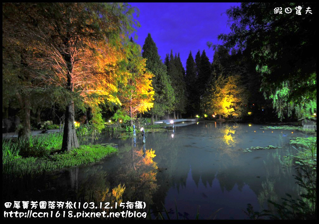 【彰化景點】假日何處去‧田尾菁芳園落羽松‧第一次夜拍落羽松好漂亮 @假日農夫愛趴趴照