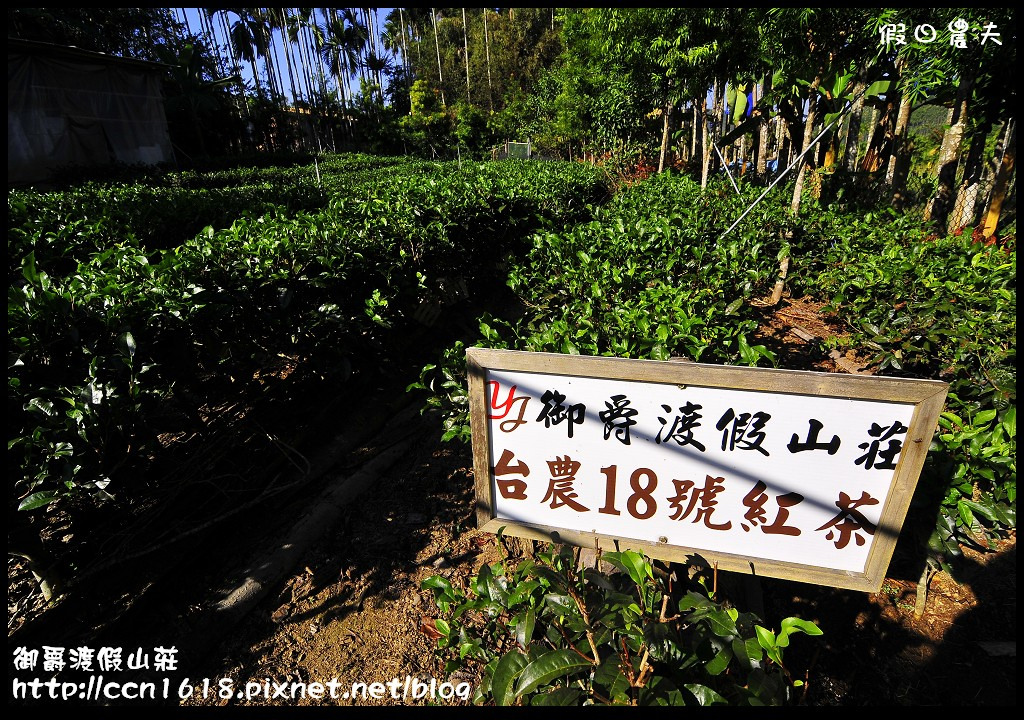 南投民宿|南投魚池御爵渡假山莊．打造夢想生活的溫暖系民宿 @假日農夫愛趴趴照