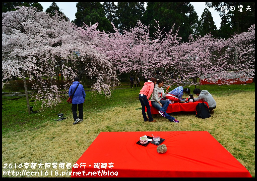 【日本旅遊】京都大阪賞櫻自由行．醍醐寺三寶院憲深林苑(櫻花百選) @假日農夫愛趴趴照