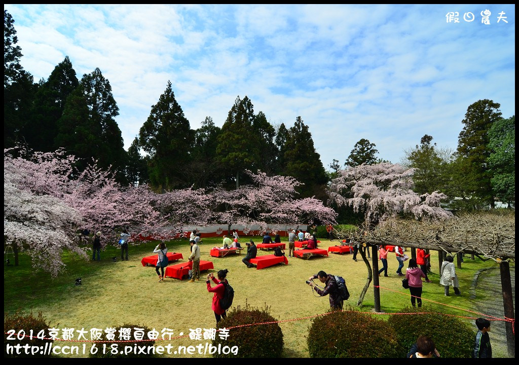 【日本旅遊】京都大阪賞櫻自由行．醍醐寺三寶院憲深林苑(櫻花百選) @假日農夫愛趴趴照